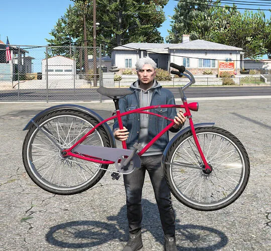 Carry Bike