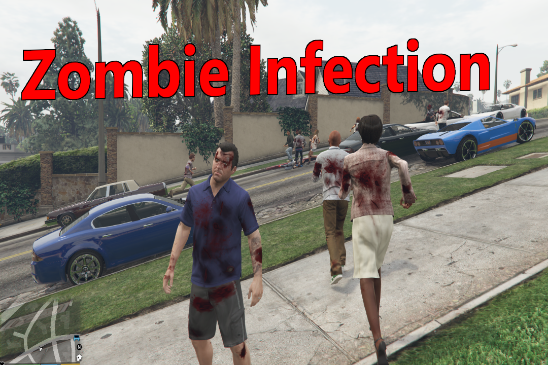 The Zombie Infection