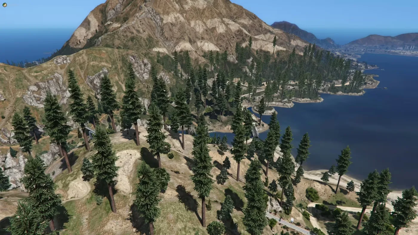 Forest FiveM