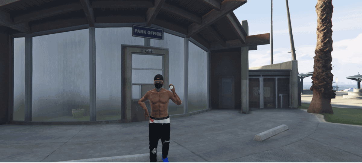 NoPixel Emotes System - FiveM ESX FiveM Script - esx 2