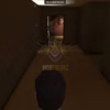 Home Robbery Script