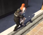 Policejob Animations