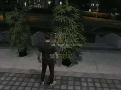 FiveM Mod FiveM Dope Plant