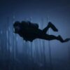 FiveM Mod Diving Job