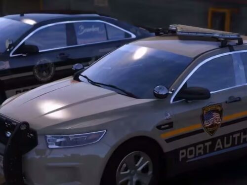 chrome_2021-02-01_15-20-06 Capture d'écran de la ressource FiveM multi-pack LSPA