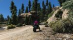 Aperçu de la ressource Forest FiveM FiveM 3