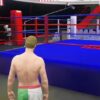 Maze Arena Boxing