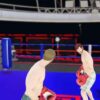 Maze Arena Boxing
