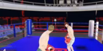 Maze Arena Boxing
