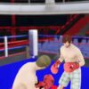 Maze Arena Boxing