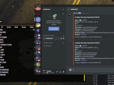 FiveM Mod FiveM Anticheat