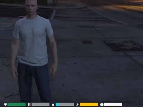 Chrom_2021-07-25_17-25-38 Screenshot der FiveM-Oberfläche von OC HUD (ESX).