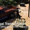 FiveM Mod FiveM illegal