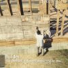 Builder Job (Leveling System)