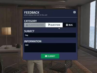 FiveM Mod FiveM Report script