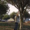 QBCore Çerçeve Sunucusu (QB v4)