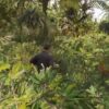 FiveM Cayo Perico (Premium) by UncleJust
