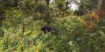 FiveM Cayo Perico (Premium) by UncleJust FiveM resource preview 7