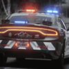 Livree LSPD Mega Pack Code 3