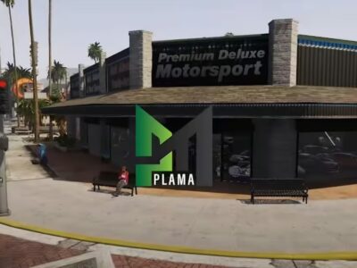 FiveM Mod PDM