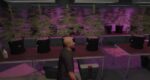 Secret Weed farm MLO