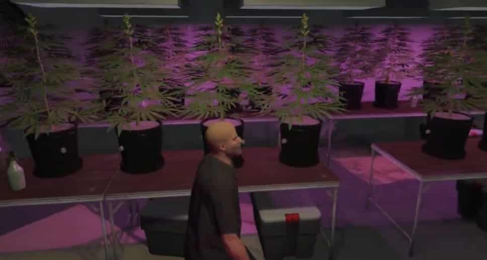 Secret Weed farm MLO FiveM Script - esx 5