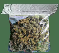Fivem Drug script