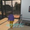 Vinewood House/Mansion VIP