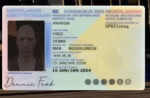 Infinity Server (Dutch) FiveM Ressourcen-Vorschau 4