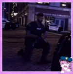 FiveM PD Animations