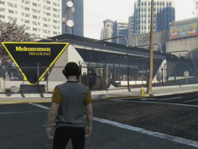 FiveM Mod 13