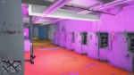 Vista previa del recurso Cyberpunk Laundry FiveM 3