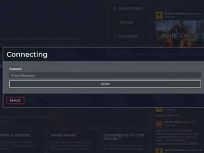 FiveM Mod Password