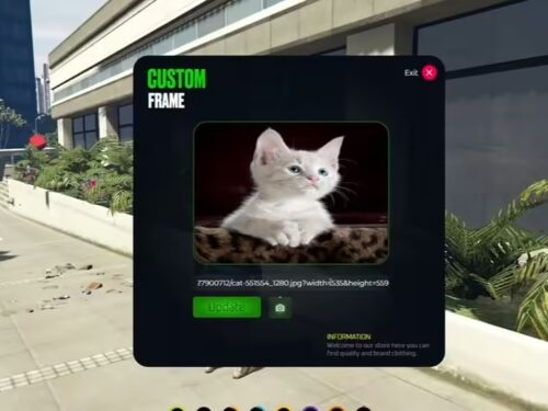 brave_T8Rw969Adl Custom Frames (Paintings) FiveM Resource Screenshot