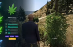 Vista previa del recurso Weed Grow Script FiveM