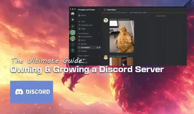 O guia definitivo: possuir e desenvolver um servidor Discord