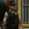 LSCSO Collection
