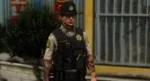 LSCSO Collection FiveM resource preview 31