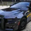 LSCSO Collection