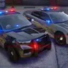 LSCSO Collection
