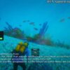 Diving Job (Izzy)