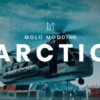 FiveM Mod arctic