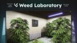 Vista previa del recurso FiveM de Weed Laboratory (QB)