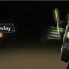 FiveM Mod SaltyOverlay_20250725074942_0osoqwo5