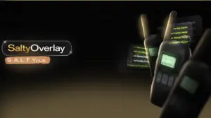 FiveM Mod SaltyOverlay_20250725074942_0osoqwo5