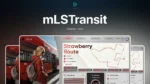 CodeM LSTransit FiveM vista previa de recurso