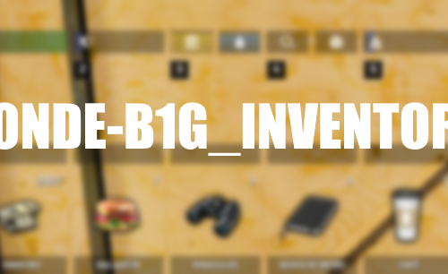 Conde B1g ESX Inventory