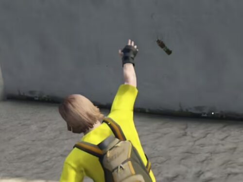 Flashbang script FiveM preview